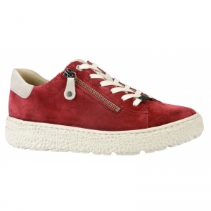 162.1401/31 81.31 ROT/TAUPE