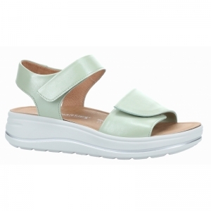 132.2002/10 93.00 WASABI