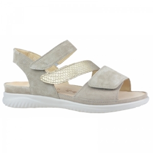 132.1135/34 26.40 BIRKE/GOLD