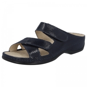 FELIA D BLAUW