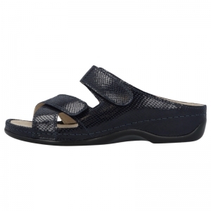 FELIA D BLAUW