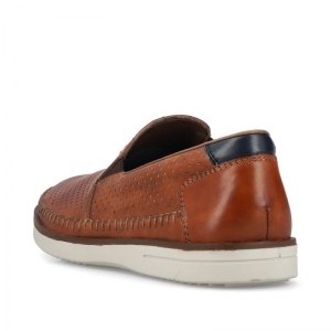 B2356-24 GAUCHO