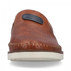 B2356-24 GAUCHO