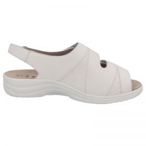 74019-20953 LINO/PLATINO