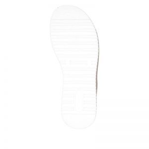 D1J60-91 MUSCHEL/GOLD
