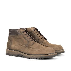 F2325 MARMOTTA