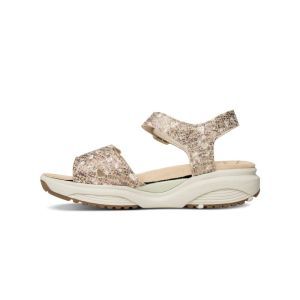 SKALA SAND COMB