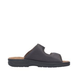20390-24 COGNAC