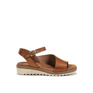 D8771 CUERO