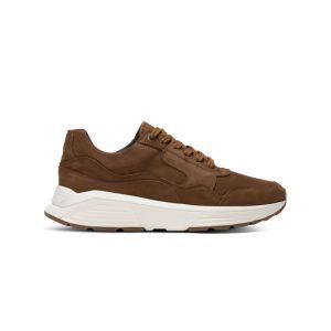 GOLDEN GATE M COGNAC