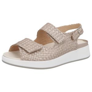 75034 40598 CHAMPAGNE