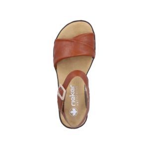 V3691-22 BRANDY