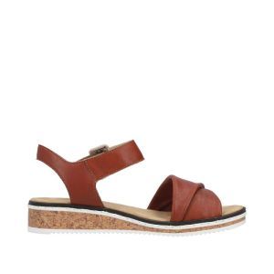 V3691-22 BRANDY