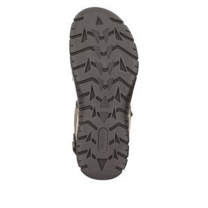 26951-25 TERRA