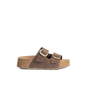 WIWI 003 CASTANA