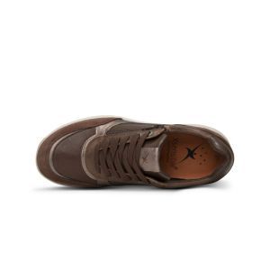 PRISTINA BROWN COMB